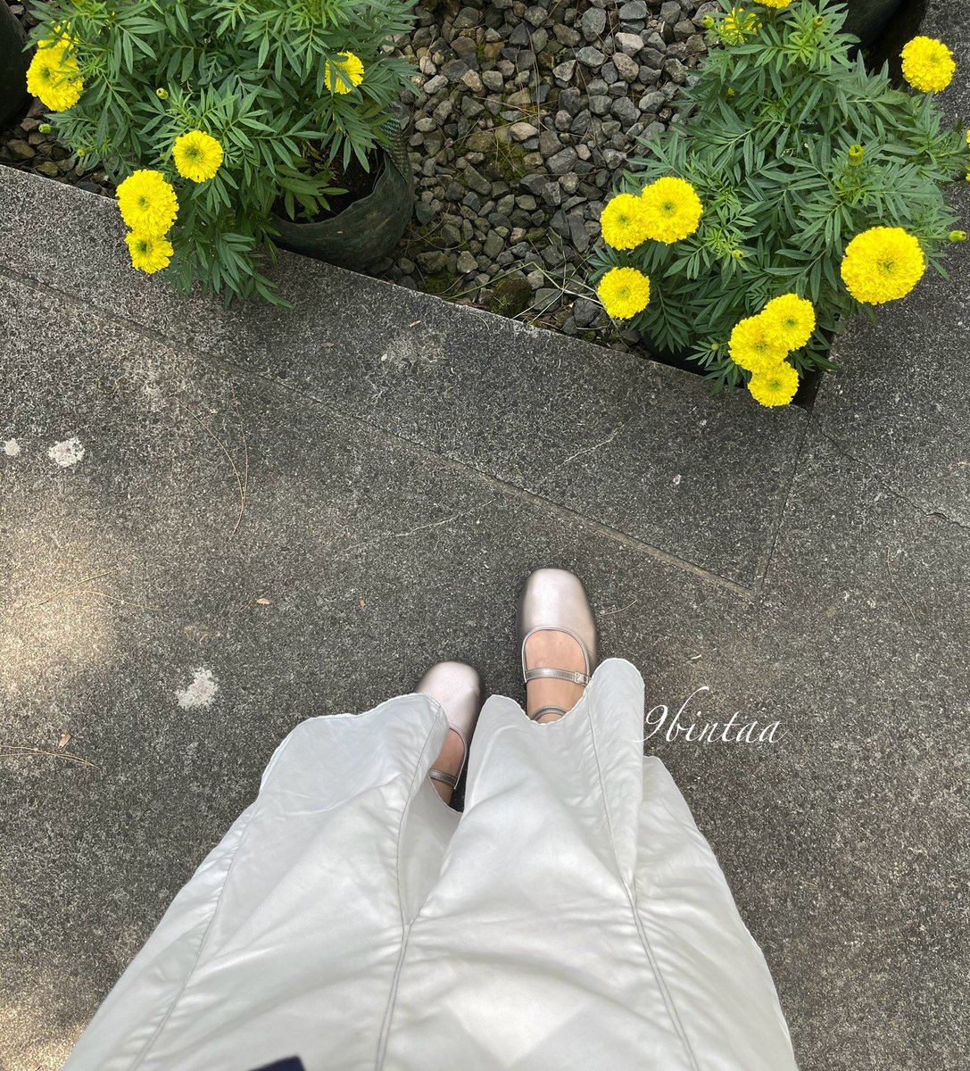 9bintaa's tweet photo. jili shoes

https://t.co/uEwo9yZs9R

surprisingly model ini dipake muterin mall nyaman loh jujur… empuk + bagian belakang ga lecet

tp agak pegel jujur. dikaki ku cantikkk warna ash greynya bikin cerahh

ga licin juga, tp agak ribet modelnya ya. pakenya sih sama aja kayak flats masih aman