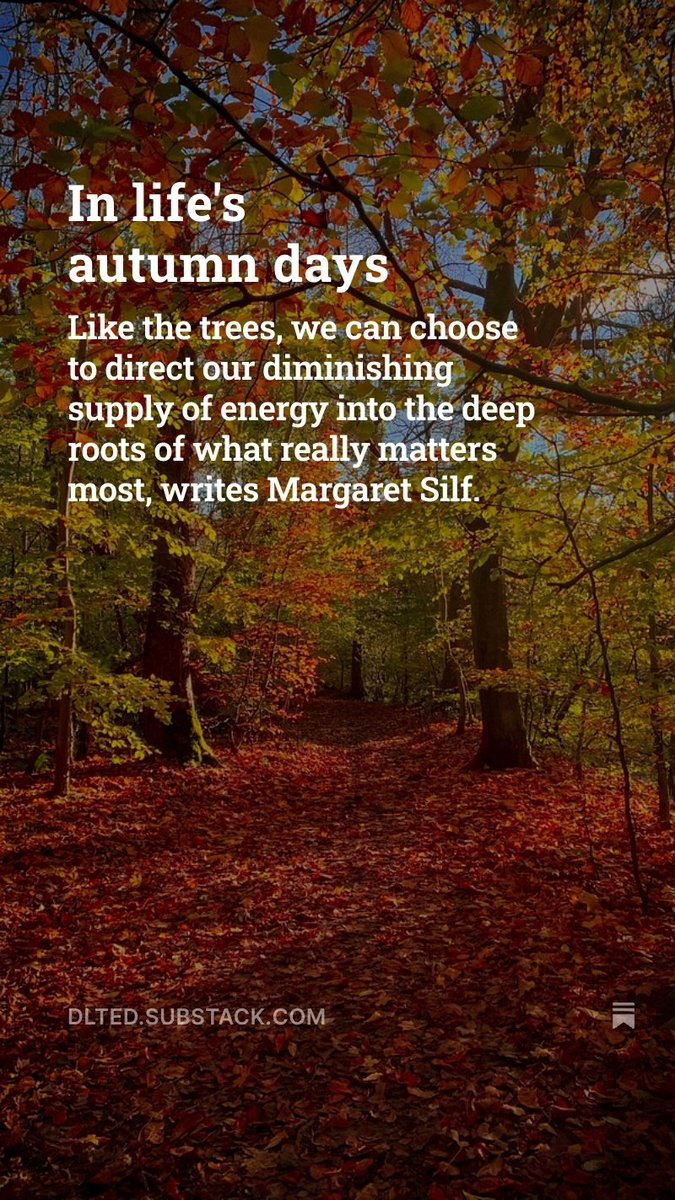 DLT_Ed's tweet photo. Margaret Silf explains how the closing chapters of our lives can become the most fruitful, and explores the practice of ‘letting go’.
https://t.co/51whdlHNlP https://t.co/gctDWnLHxh