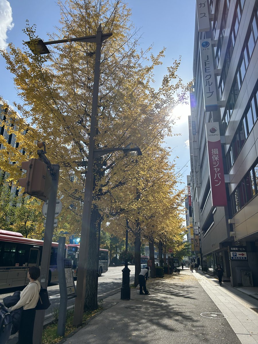 葉っぱの秋色絨毯🍂🍂
秋色好きだなぁ〜
図書館へ行く道