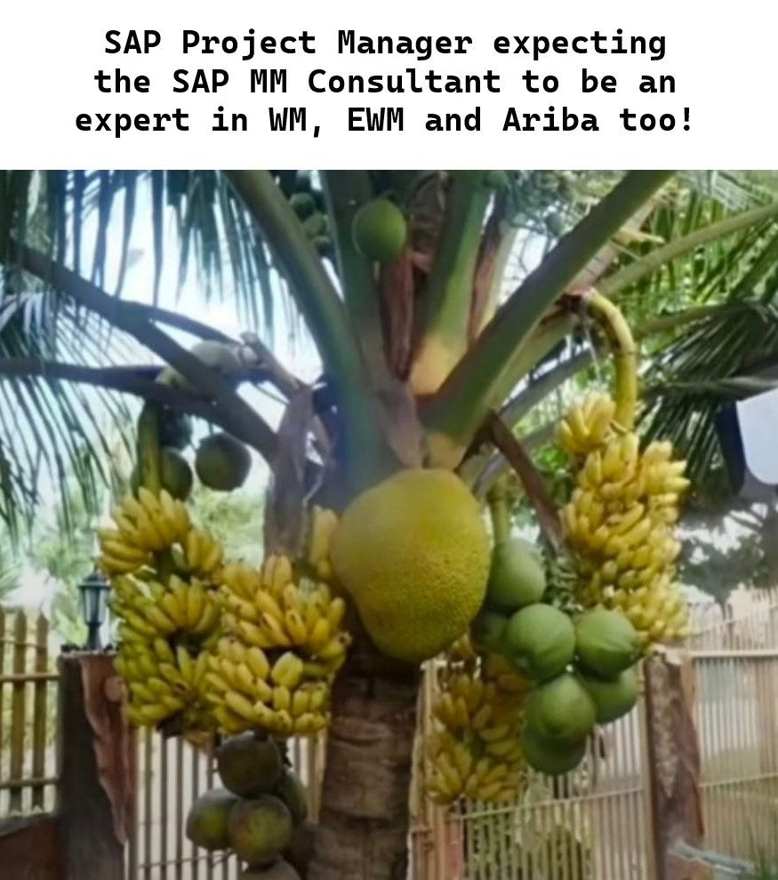 Eursap's tweet image. Another true story! 😂
The struggle is real 🥴

#sap #sapmemes #sapmm #sapewm #fridayfun #eursap