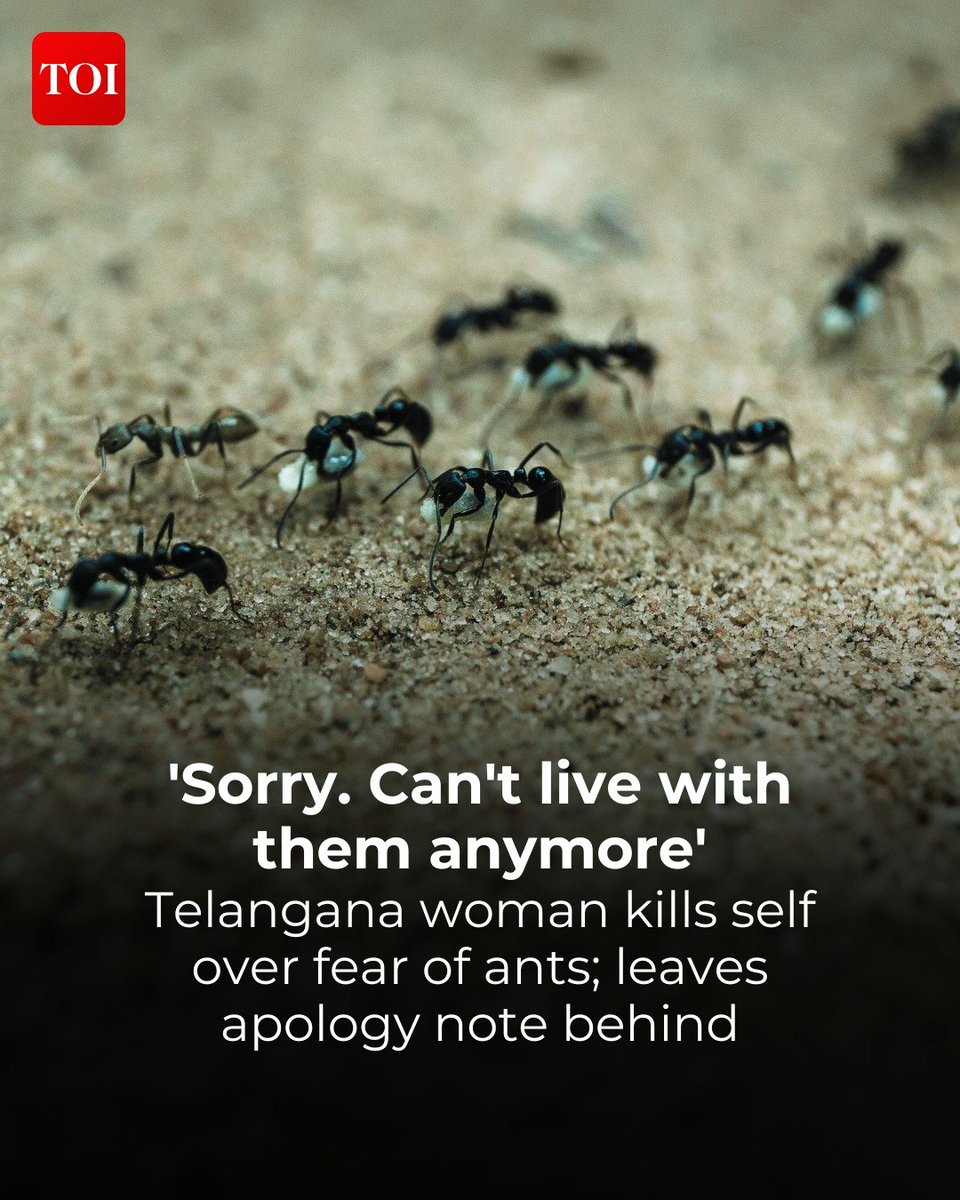 timesofindia's tweet image. #Hyderabad | A 25-year-old woman allegedly died by suicide due to a severe childhood fear of #ants. She reportedly took the extreme step after noticing ants while cleaning her home. 

Read here 🔗toi.in/a_krha
