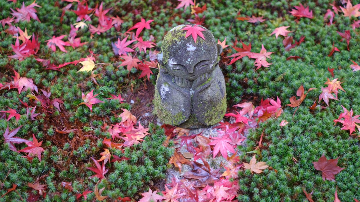 mita3_'s tweet photo. 秋の京都が良すぎたというお話 https://t.co/mF84se18Xh