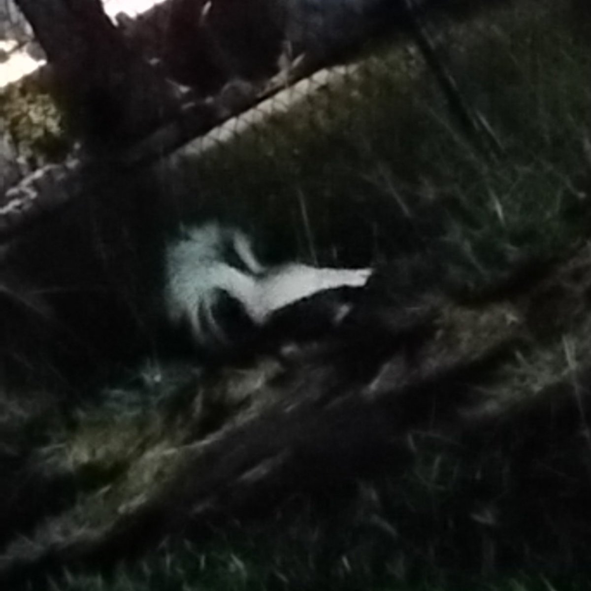 junkbltch's tweet image. friend