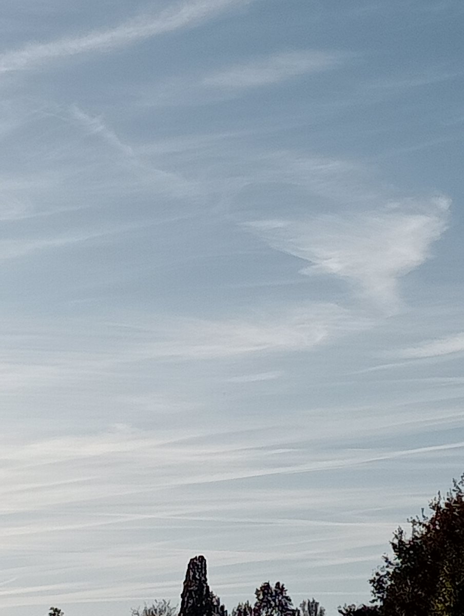 Lavante21575499's tweet image. The Netherlands, November 7th. #geoengineering #Bioterrorism against all that lives 🤮😷☠️Trolls and deniers get blocked immediately. 🖕🖕