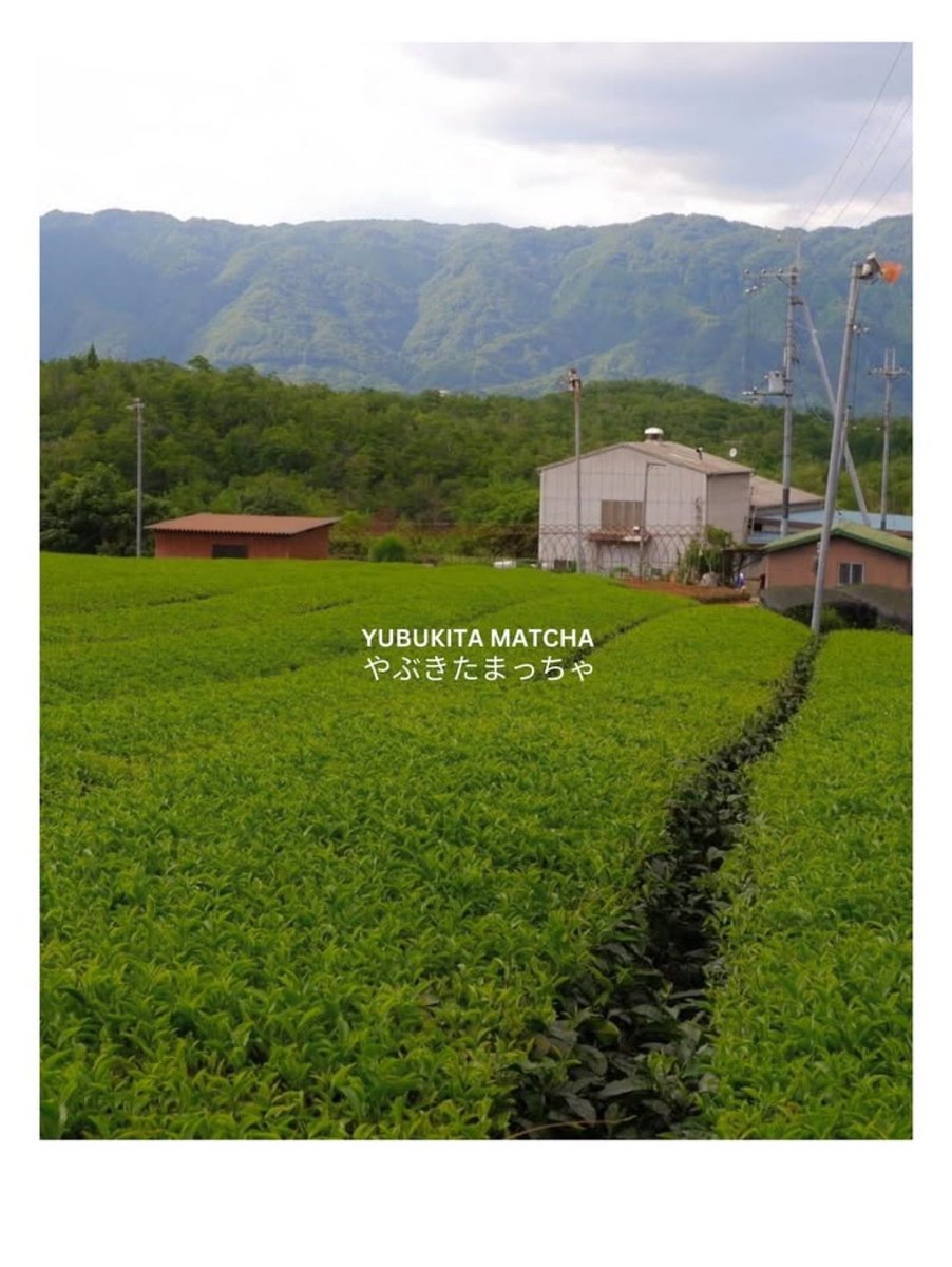 innsarin_family's tweet image. มัทฉะโมจิสดปั้นมือในตำนานเจ้าแรกของโลก ที่ทำให้ทุกคนกลับมาตกหลุมรักอีกครั้ง!

Uji Matcha Mochi เราใช้มัทฉะแท้จากเมืองอุจิ หอมแบบมีเอกลักษณ์ ด้านล่างเราใช้มัทฉะกานาช ตามด้วยโรยคินาโกะเพิ่มกลิ่นหอมของถั่ว จับคู่กับโมจิสดปั้นมือทุกชิ้น และคัสตาร์ดเนียนนุ่ม…