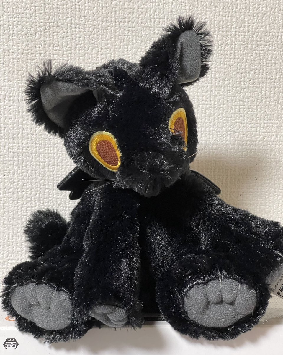 ポラ猫 さとは on X