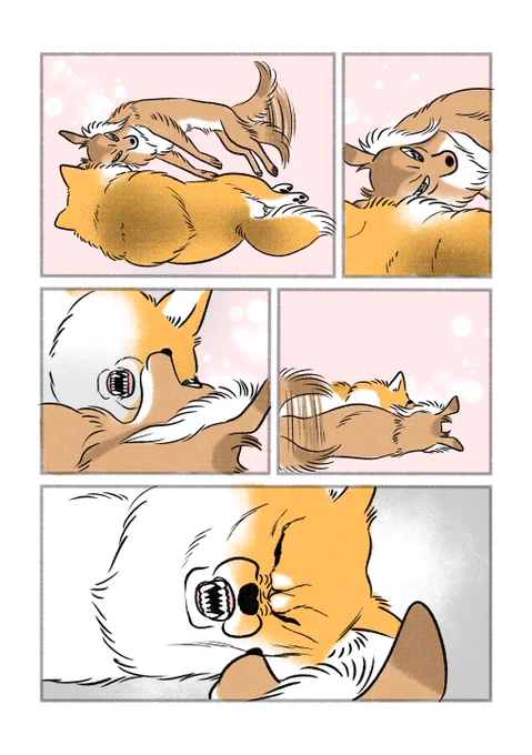 両思い 
