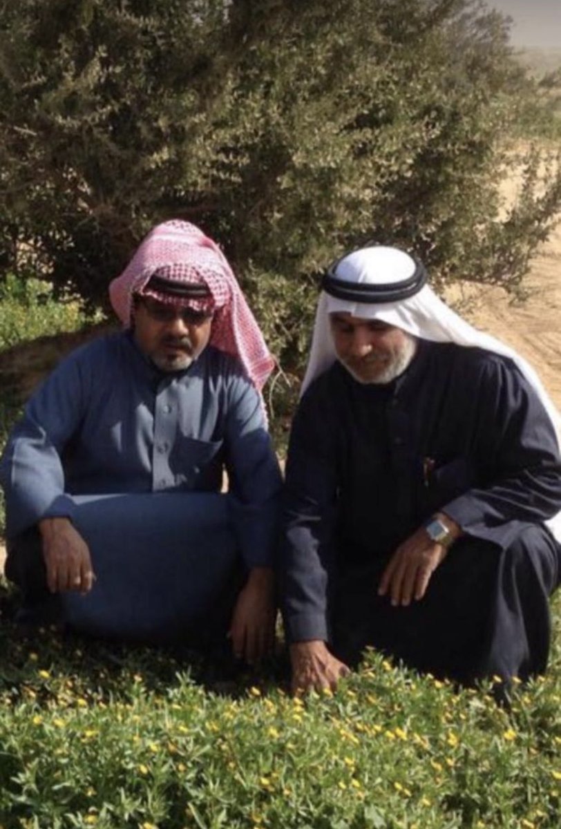 فهد المطرفي tweet media