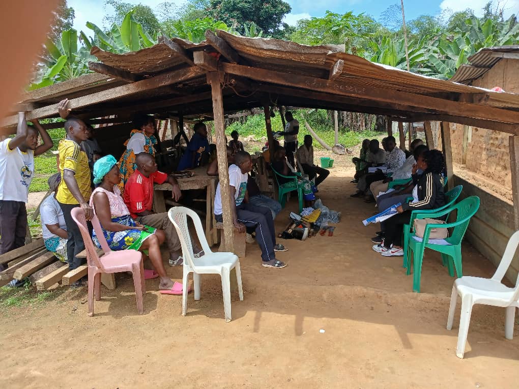 Brainforest Gabon tweet media