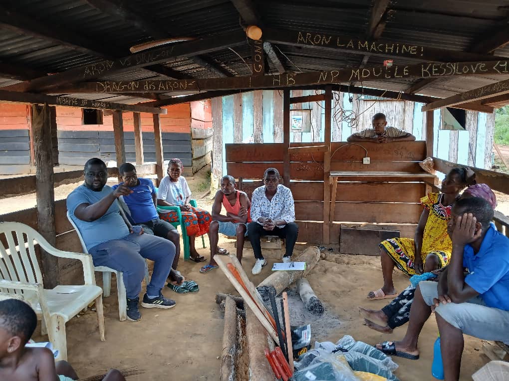 Brainforest Gabon tweet media