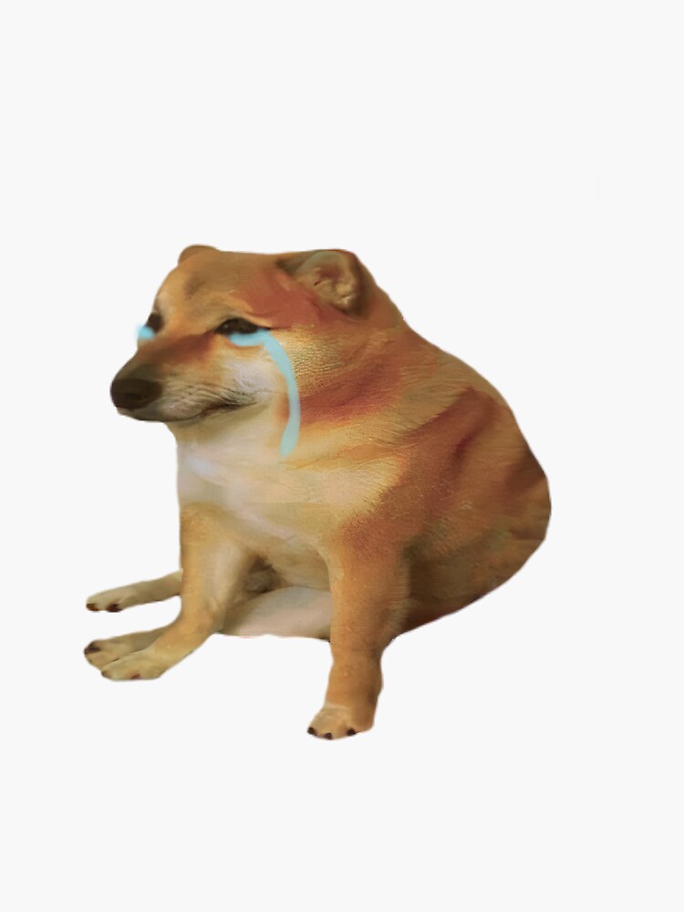 Mārtiņš Hiršs tweet media