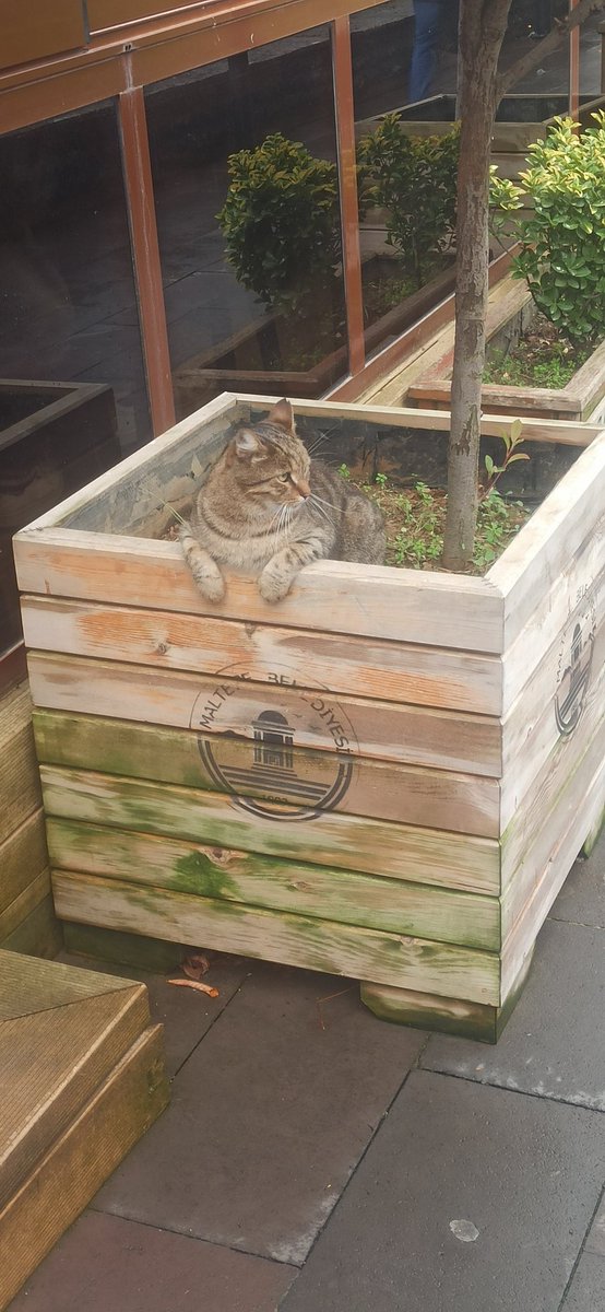 Güzel bir hafta sonu olsun 🙏