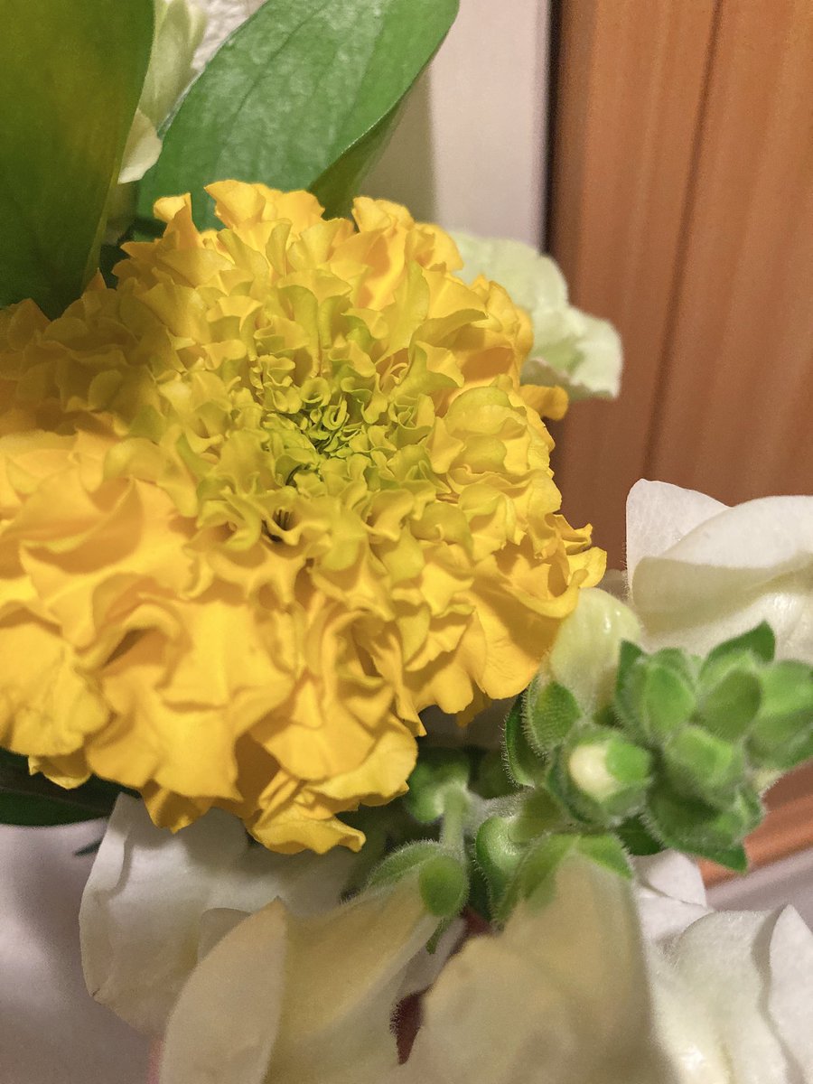 𝑺𝒂𝒏𝒂♡ on X 𝑺𝒂𝒏𝒂♡ on X