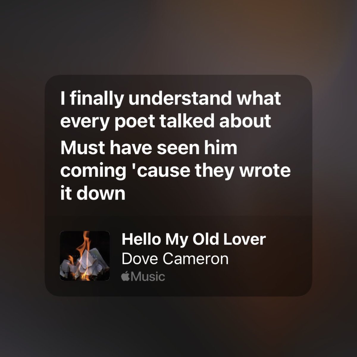 fraqilethings's tweet image. 🤍