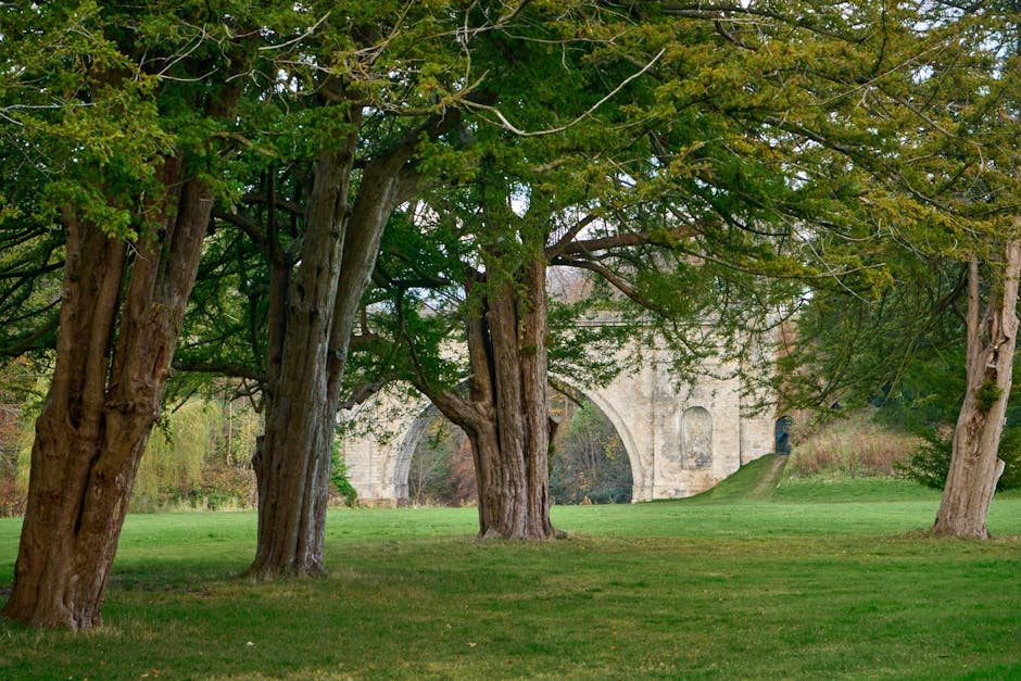 The Conservation Officers Group (COG) raised key concerns on proposed PDR changes:
⚠️ Not suitable for listed buildings, conservation areas or town centres
🛠️ Practical issues &amp; risks to heritage integrity
🔗 Full response: ow.ly/jcsN50XnQlF
🔗COG: ow.ly/h4h050XnQpO