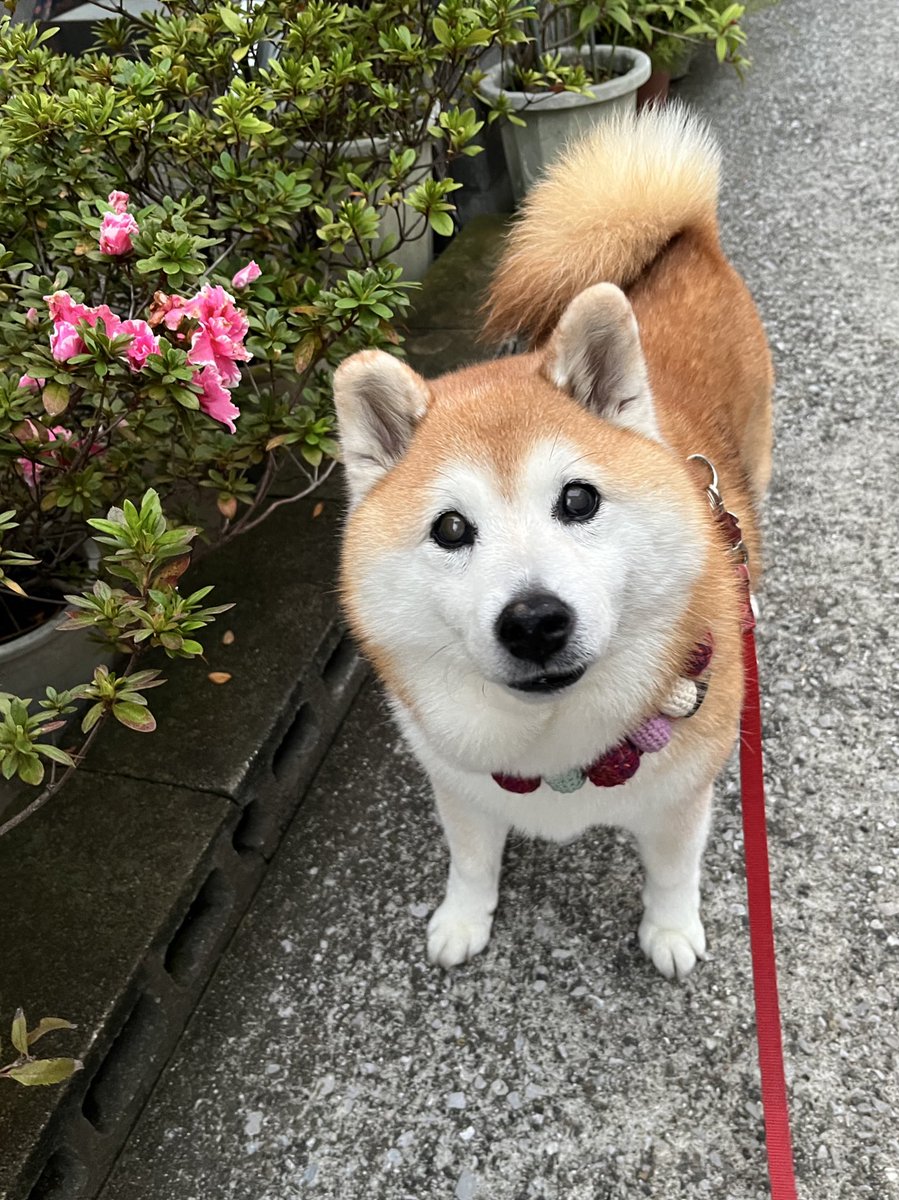 アミィ🎀 on X アミィ🎀 on X