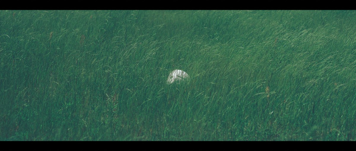 ひなた tweet media