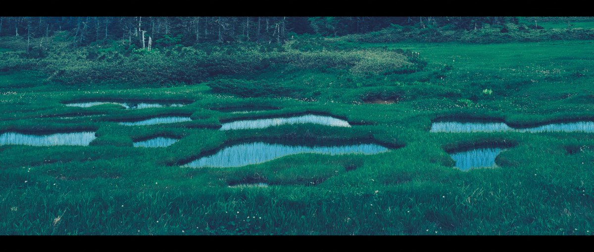 ひなた tweet media