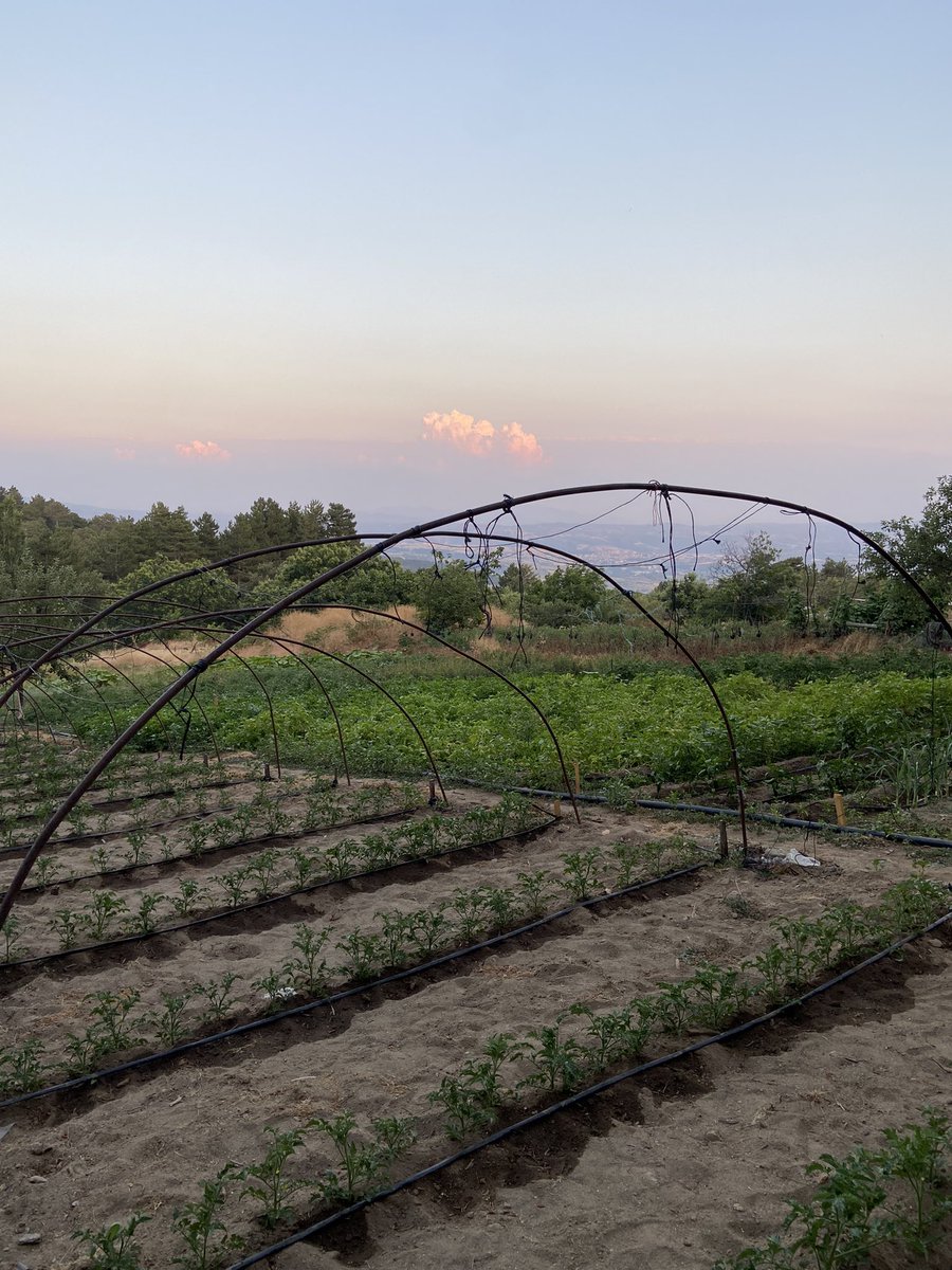 oglum biz egeliyiz lan