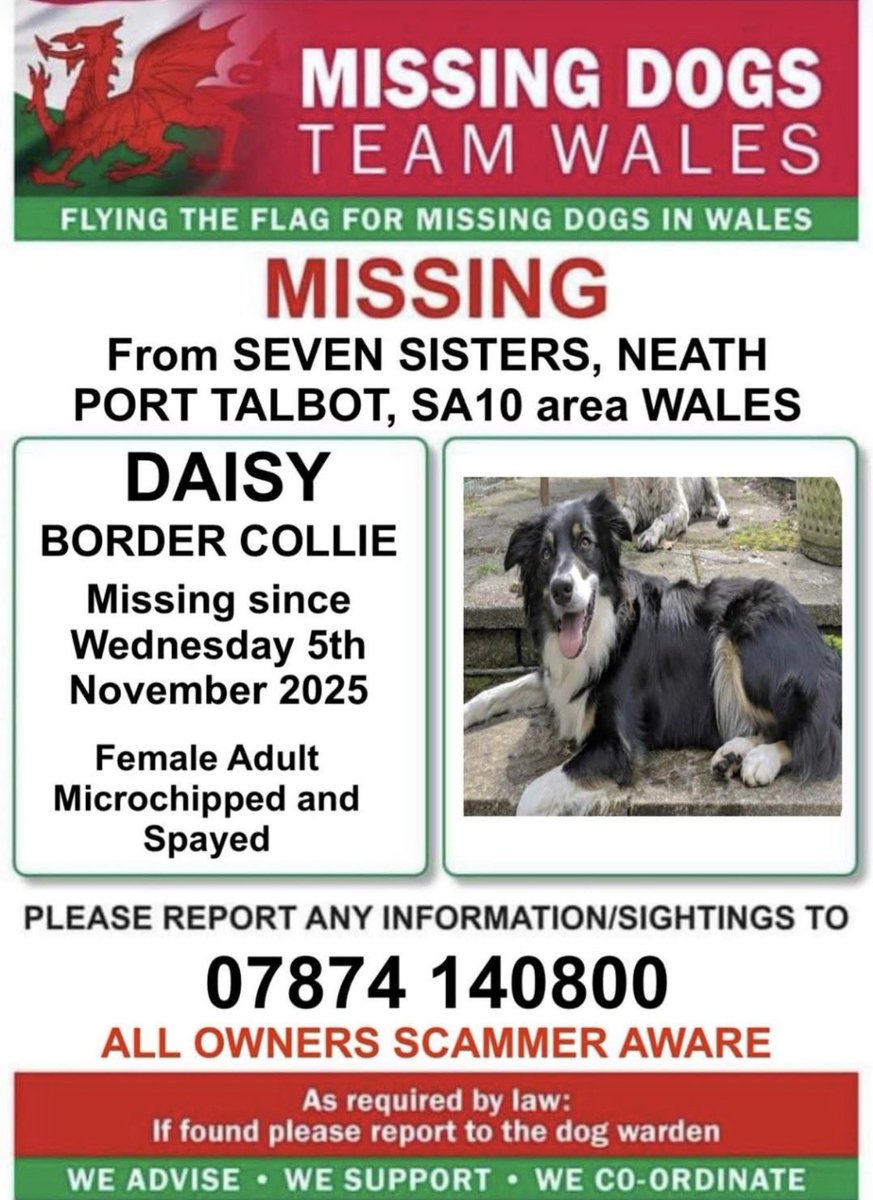 missingdogsteamwales tweet media