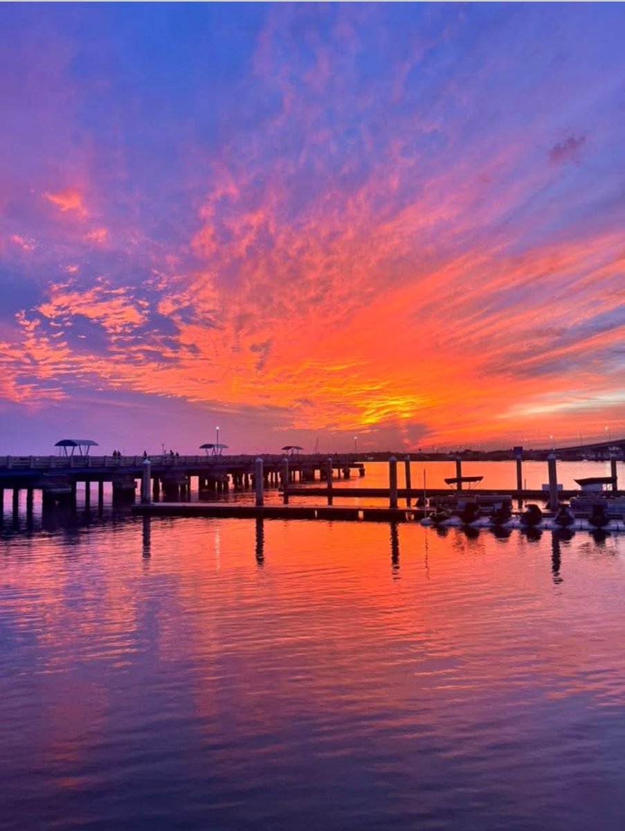 cat heifner tweet media