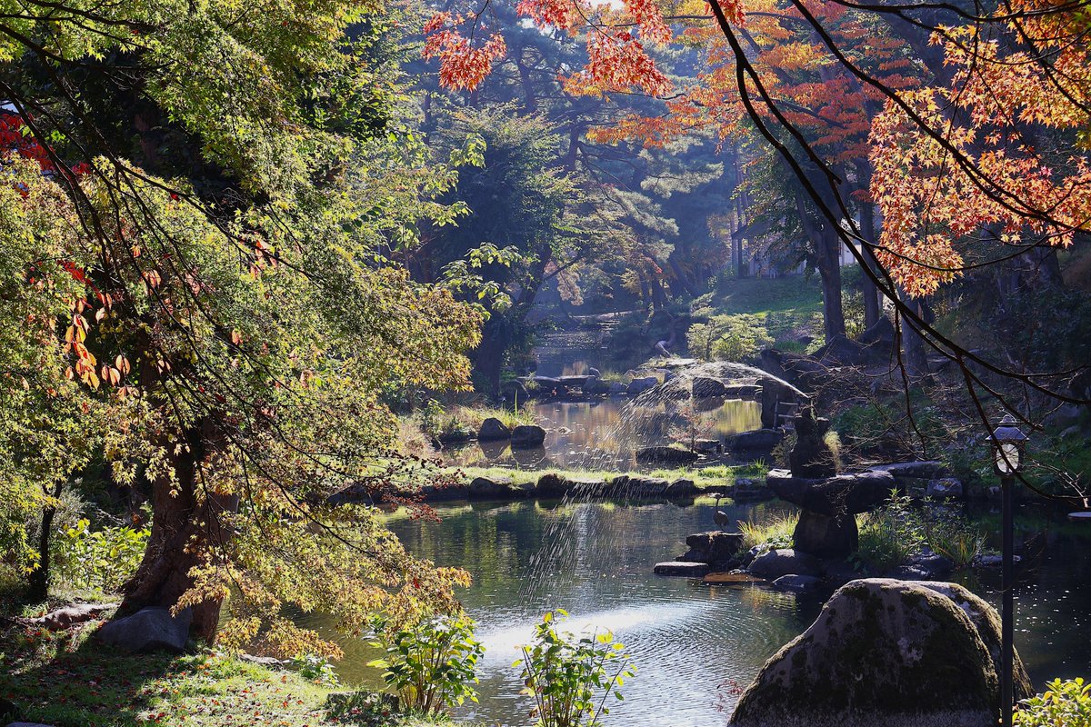 やまいわけんS on X