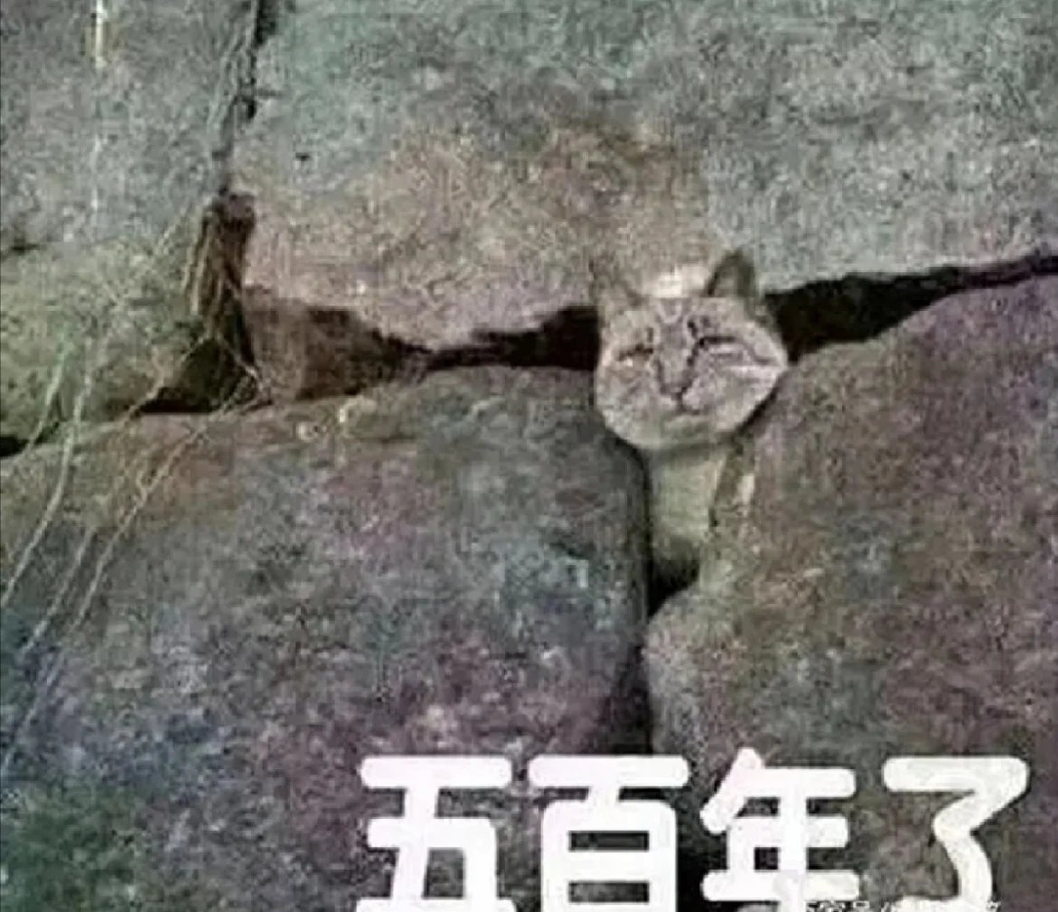 FunctionFu2858's tweet image. 五百年了，整整五百年了啊！！！