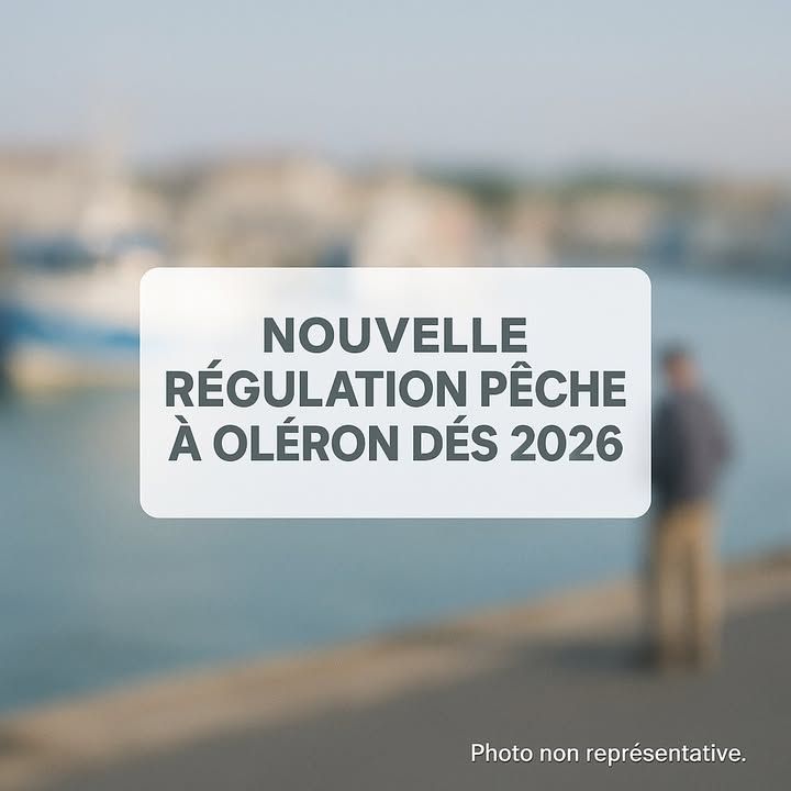 Iledoleron17's tweet image. À partir de 2026, même pour pêcher du bar à Oléron, faudra s’enregistrer. Pas un drame, juste une appli. On s’habitue. 
#pechedeloisir #oleron #environnement #mer

buff.ly/lhRLb8Q