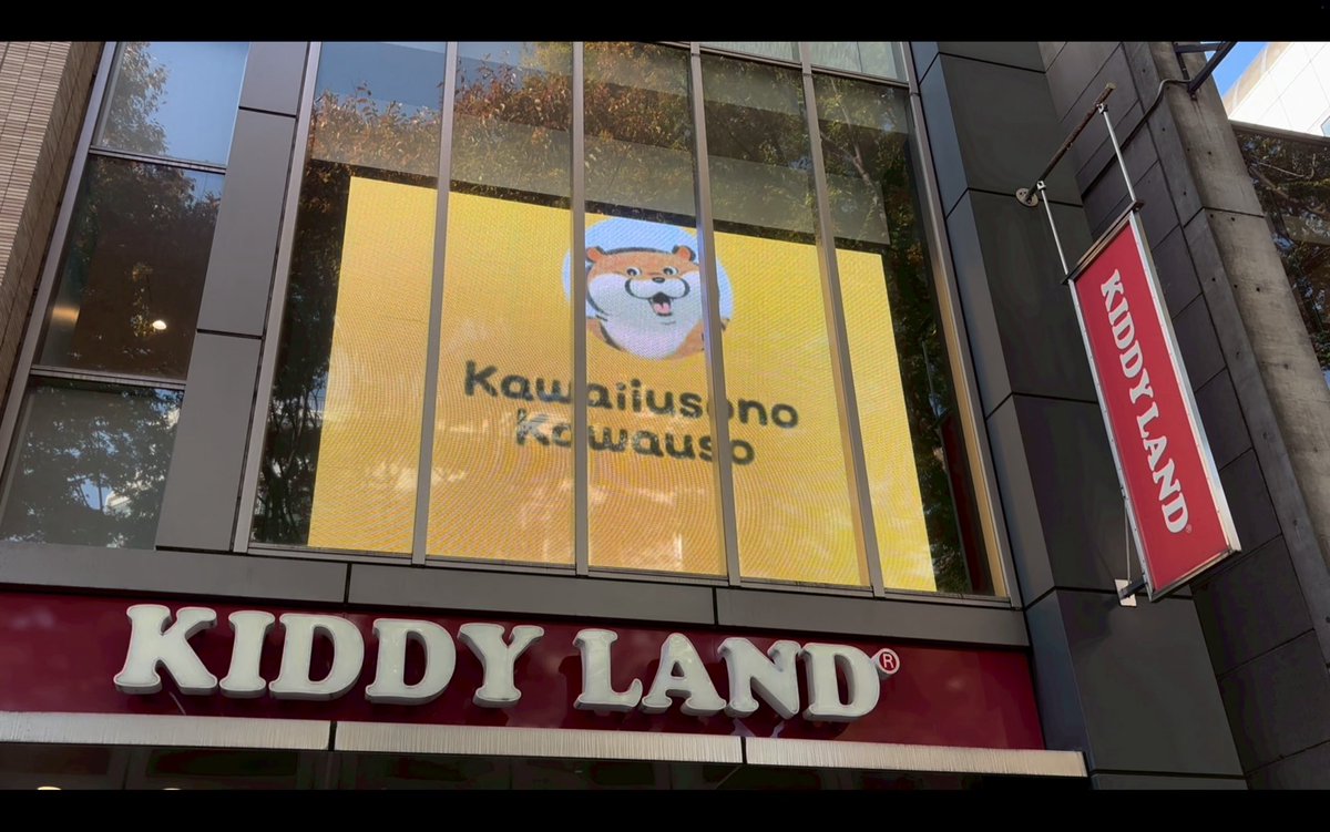 キデイランド原宿店さまにて大型ビジョンに動画が流れます📢
ぜひお立ち寄りください☺️✨
11/8(土)開店11:00〜より放映開始予定
#可愛い嘘のカワウソ