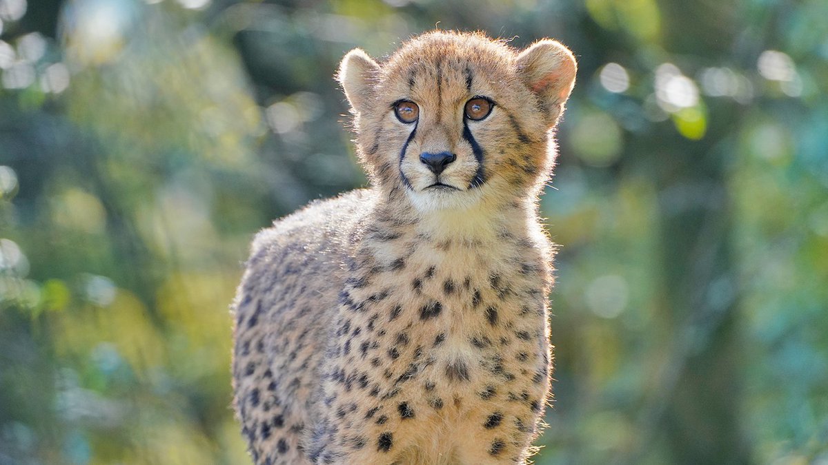 すくすく育った子どもたち。 立派に成長したなぁ～と思うのですが