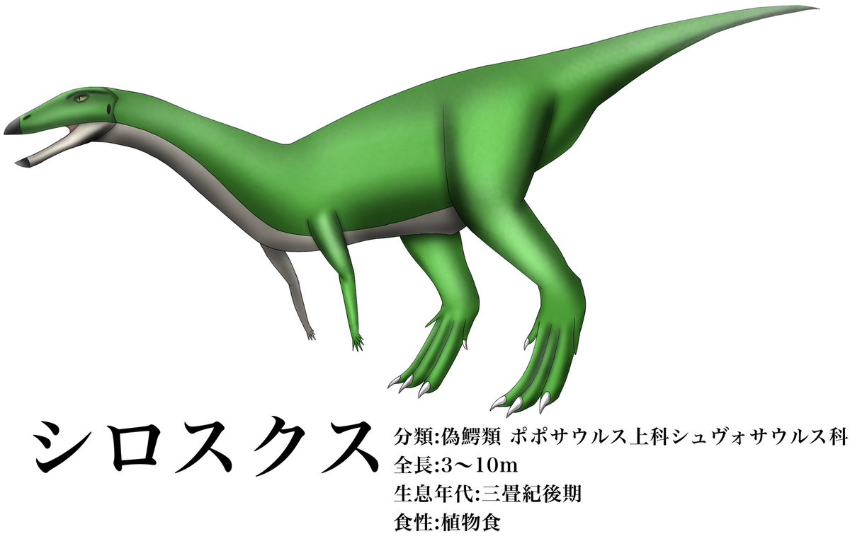 シロスクス #今日ワニ #偽鰐類 #Sillosuchus 他の化石から全長約10m