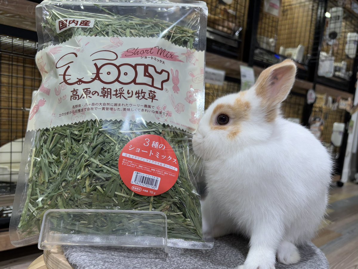 🌱3種のショートミックス入荷しました🌱

美味しい高原シリーズの牧草、ぜひお試しください☺️

rabbittail.com/products/detai…

#うさぎ　#うさぎのしっぽ　#うさぎのしっぽ横浜店　#うさぎ専門店　#うさぎのいる暮らし　#rabbit