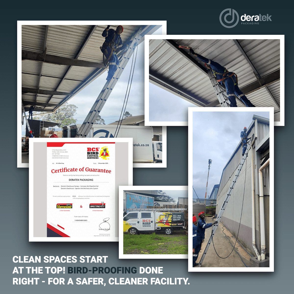 DeratekPack's tweet photo. Clean, safe, and bird-free🐦
Thanks to @BCSBirdControl, our warehouse is now protected with humane, food-safe bird proofing.
✅ Vamoose Gel
✅ Spectre Net
✅ No harm to birds
Hygiene always comes first at Deratek!
🔗 https://t.co/nfu341ZI23
#Deratek #BirdProofing #CleanWarehouse https://t.co/wV8u0ibN3H
