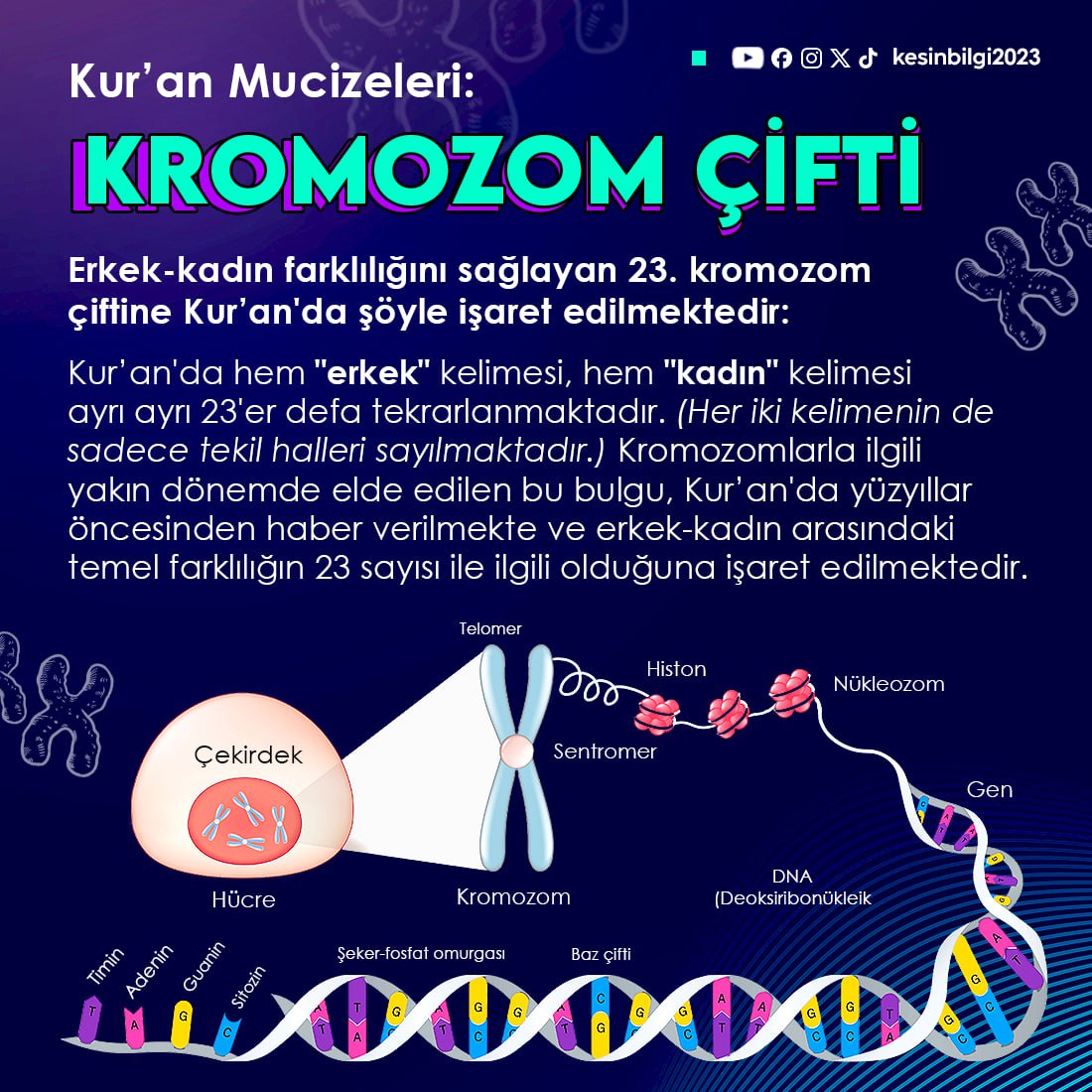 Kur’an Mucizeleri: KROMOZOM ÇİFTİ

Erkek-kadın farklılığını sağlayan 23. kromozom çiftine Kur’an'da şöyle işaret edilmektedir:

Kur’an'da hem "erkek" kelimesi, hem "kadın" kelimesi ayrı ayrı 23'er defa tekrarlanmaktadır. (Her iki kelimenin de sadece tekil halleri sayılmaktadır.)