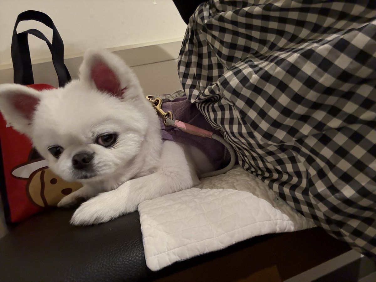 川上優 (森野雫)