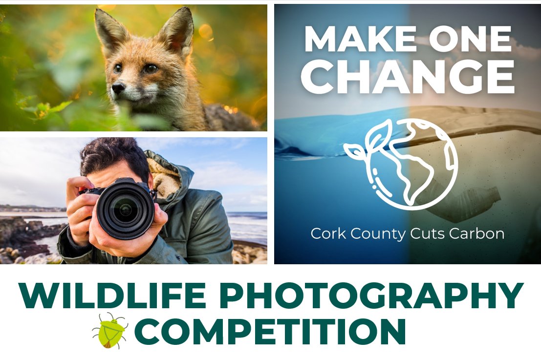 Don't forget to submit your best nature &amp; wildlife shots for our Wildlife Photography Competition! 🌿🦉

Our judges will be looking for originality, creativity, great compositions, and relevance to the theme of nature &amp; wildlife. Entries will be judged in three age groups:

📸