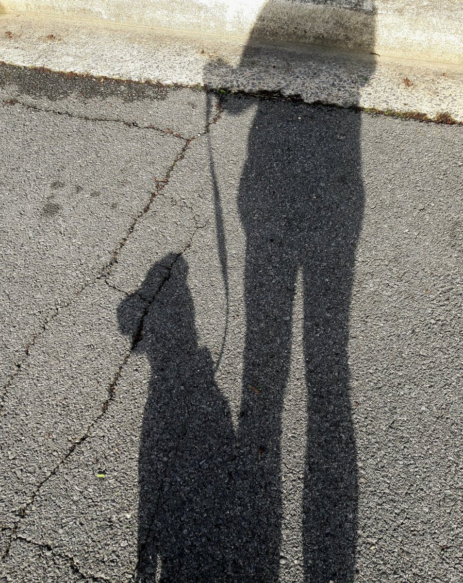 frenz

#WeekSforShadows
#AlphabetChallenge