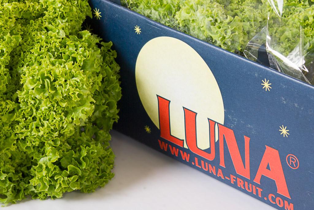 Rodolfomgr77's tweet image. trade4go.com/product/lettuc…
#trade4go #rfq #buyer #trader