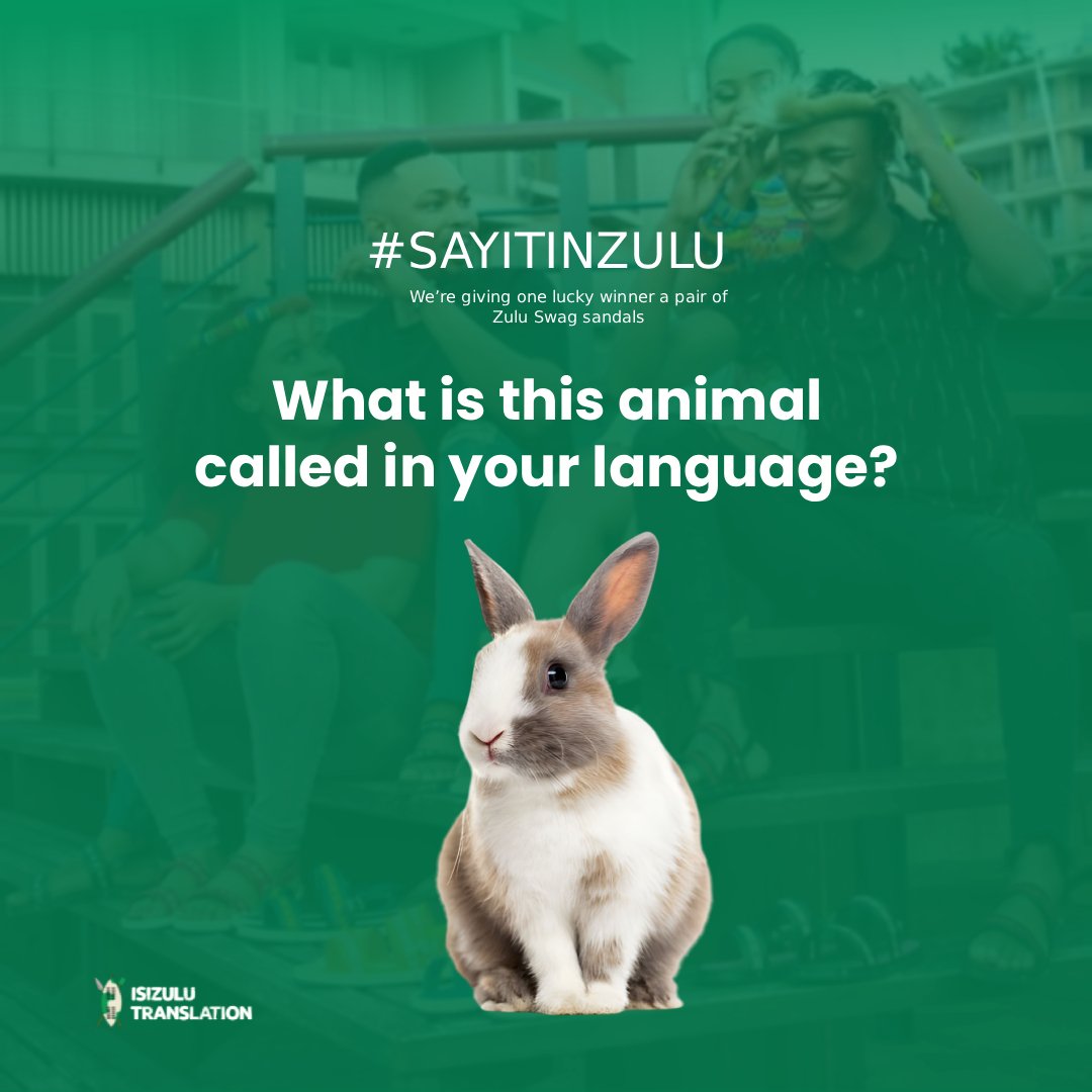 Zulutranslate's tweet image. What do you call this animal in your language?
Reply below with your answer + use #SayItInZulu to stand a chance to WIN Zulu Swag sandals! 😍✨

#ZuluTranslation #LanguageChallenge #SayItInZulu  #VodacomGiganathi #AbsaSummerOfRewards