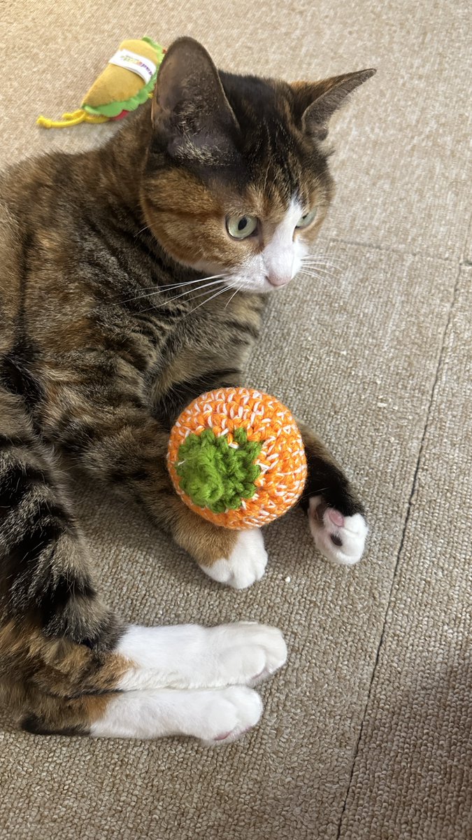 v2soo2's tweet image. 