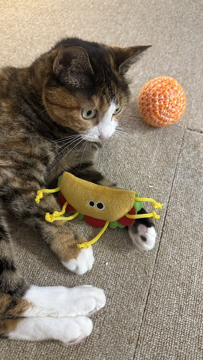 v2soo2's tweet image. 