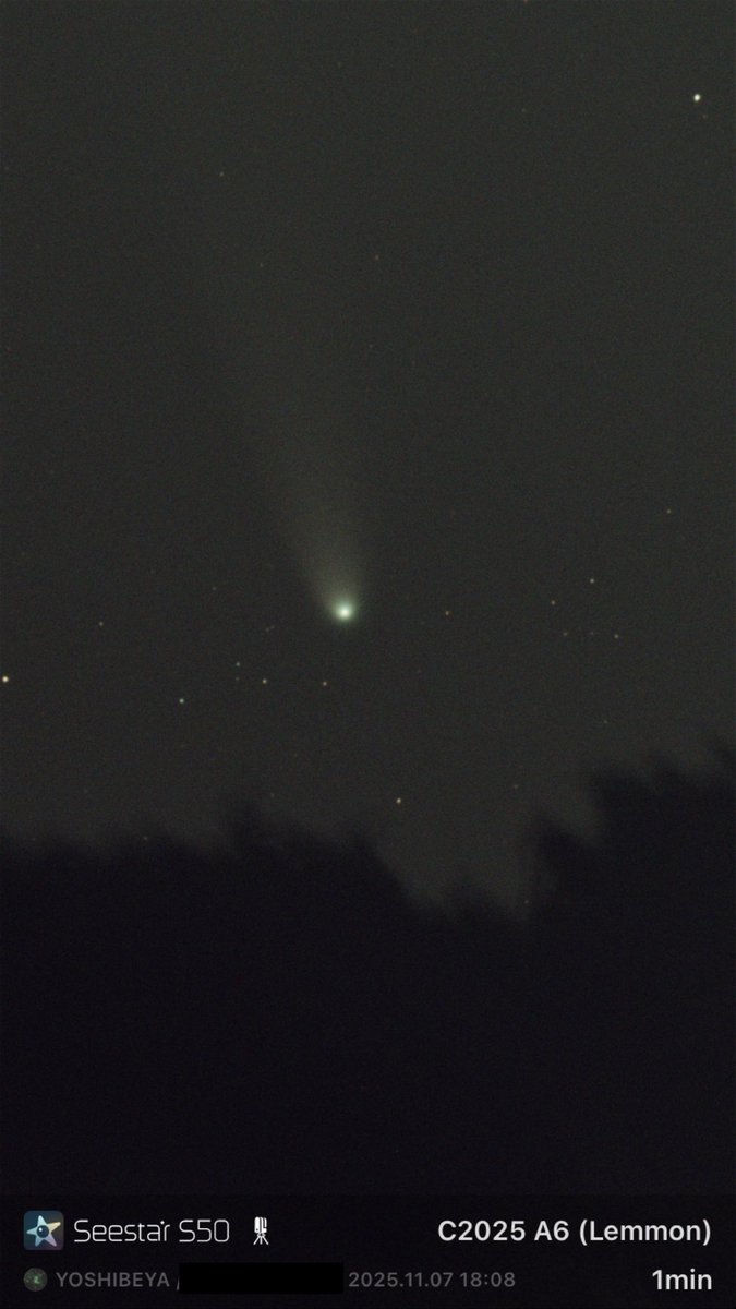 よしべや自然博物館 on X