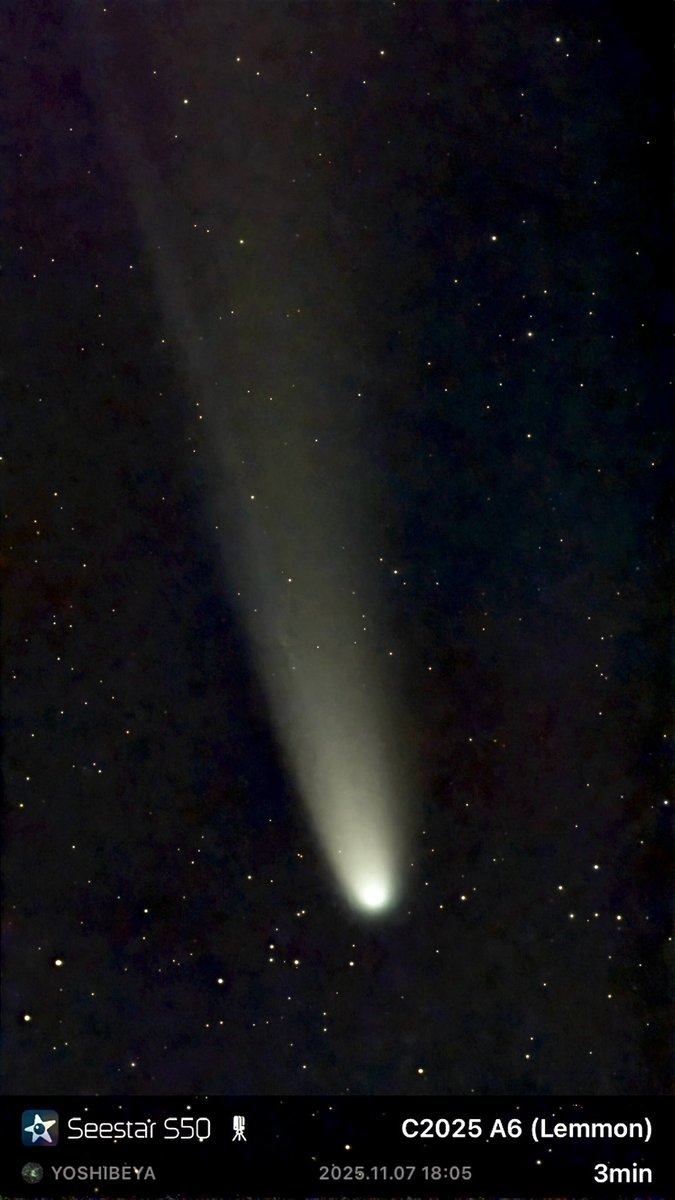 よしべや自然博物館 on X