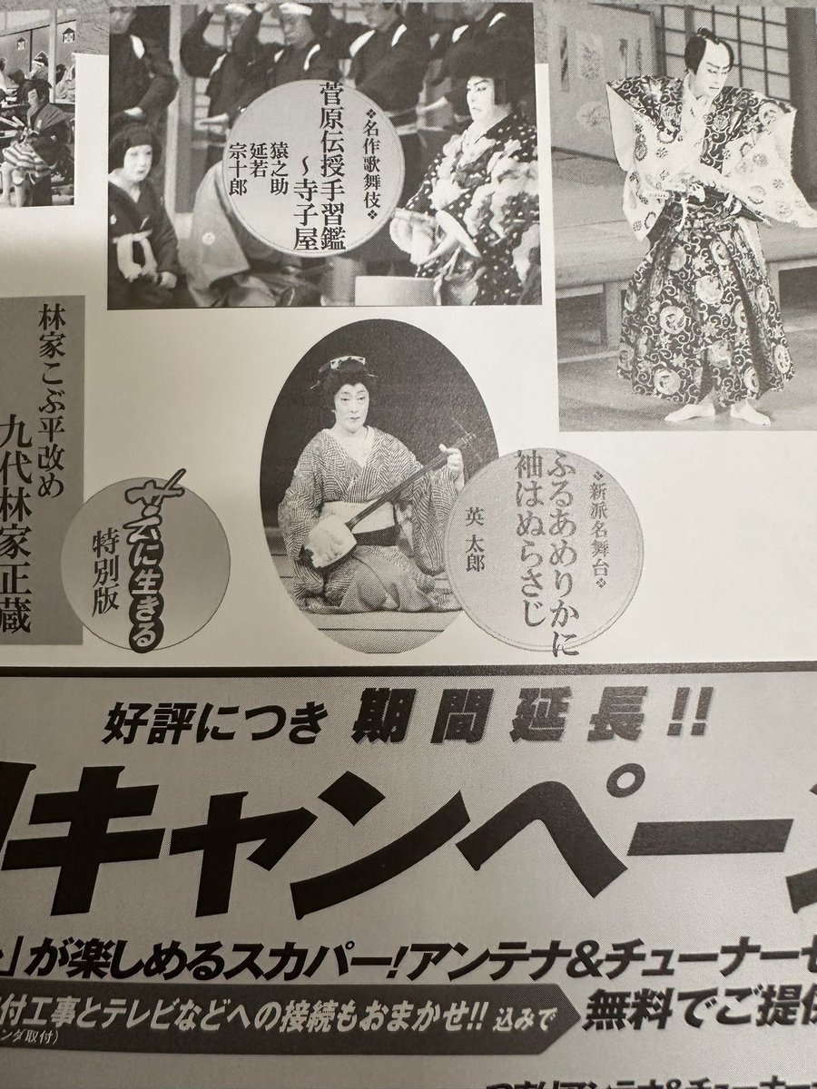 函館のシト on X