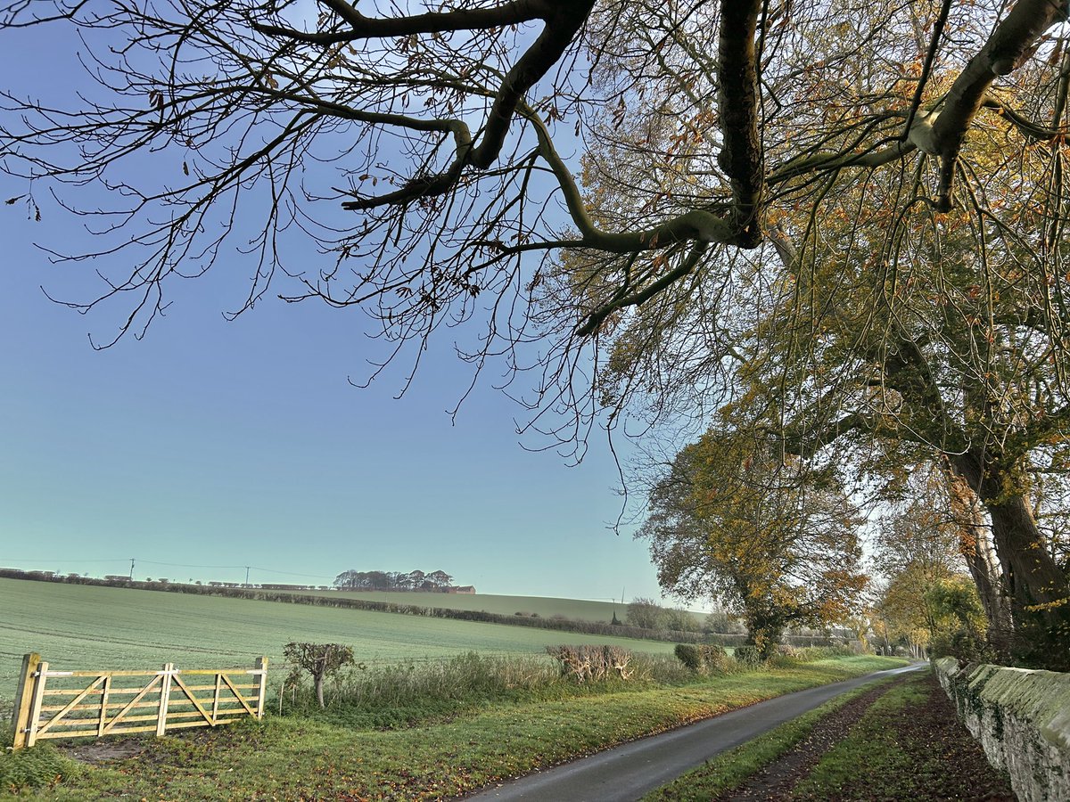 WeatherWolds's tweet image. An Early Morning Wander. 12°C and clear skies. Rabbits