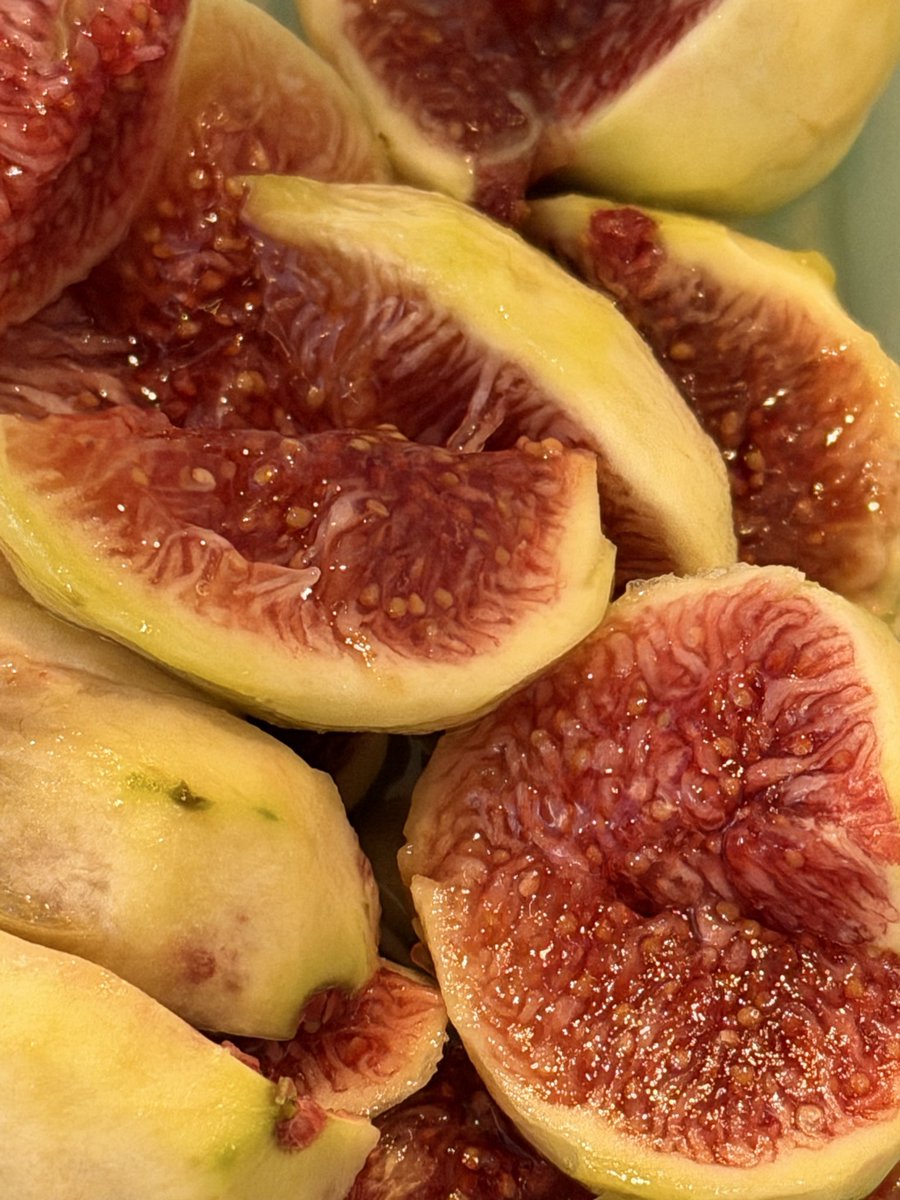 あんみつさん専用！シトリンカエル⭐⭐⭐ 日本製 Jumping FROG ゼンマイ式 ブリキのカエル 外箱付き | ブリキの