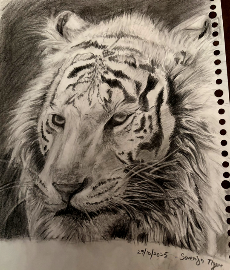 Sovereign Tiger tweet media