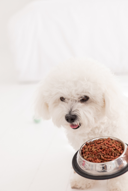 ネットショップ on X