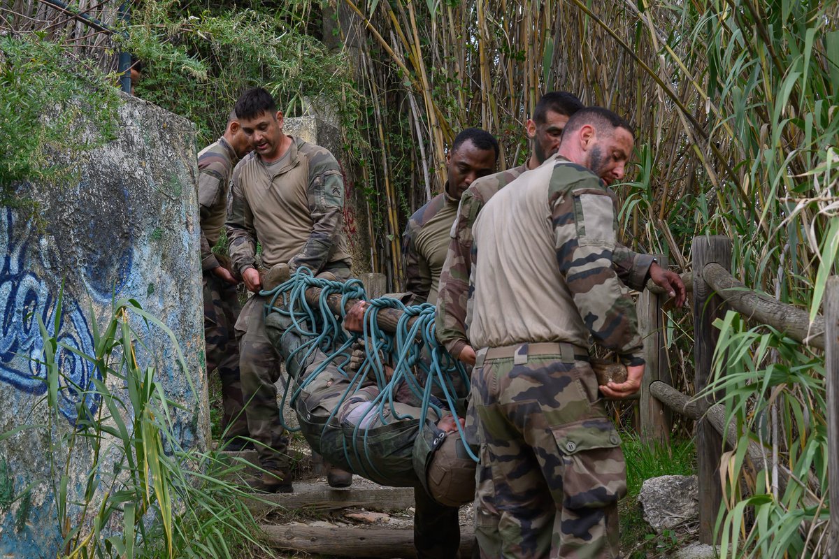 503e Regiment du Train tweet media