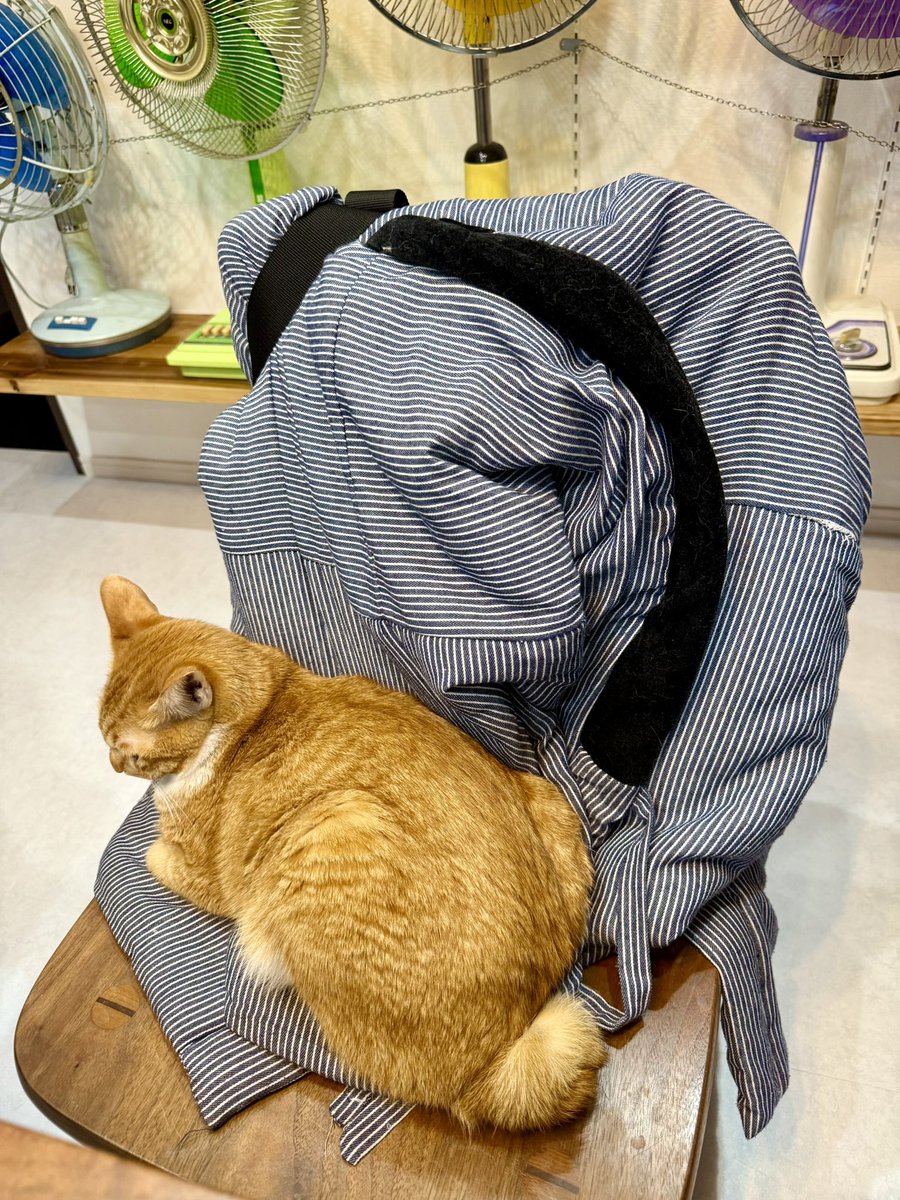 🐙あかだこやろう🐙 (@marrobru15) / Posts / X